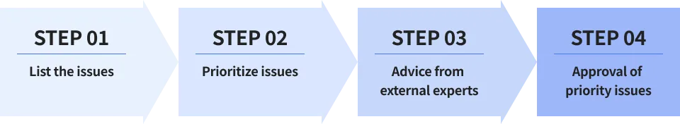 Process for Identifying Material Issues