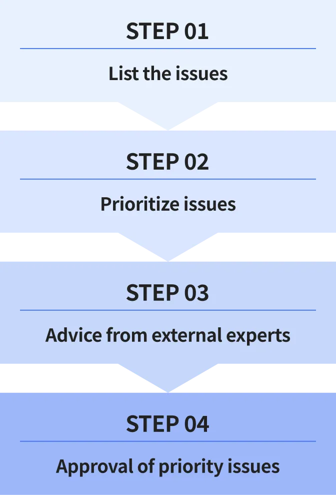 Process for Identifying Material Issues