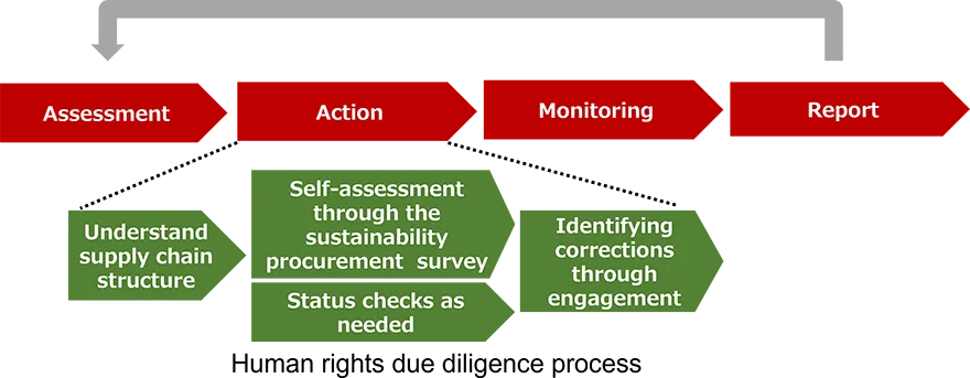 Human rights due diligence process