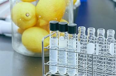 素材・機能研究に関する論文・対外発表