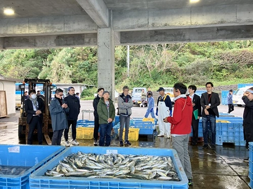 高知県産水産物イベント1