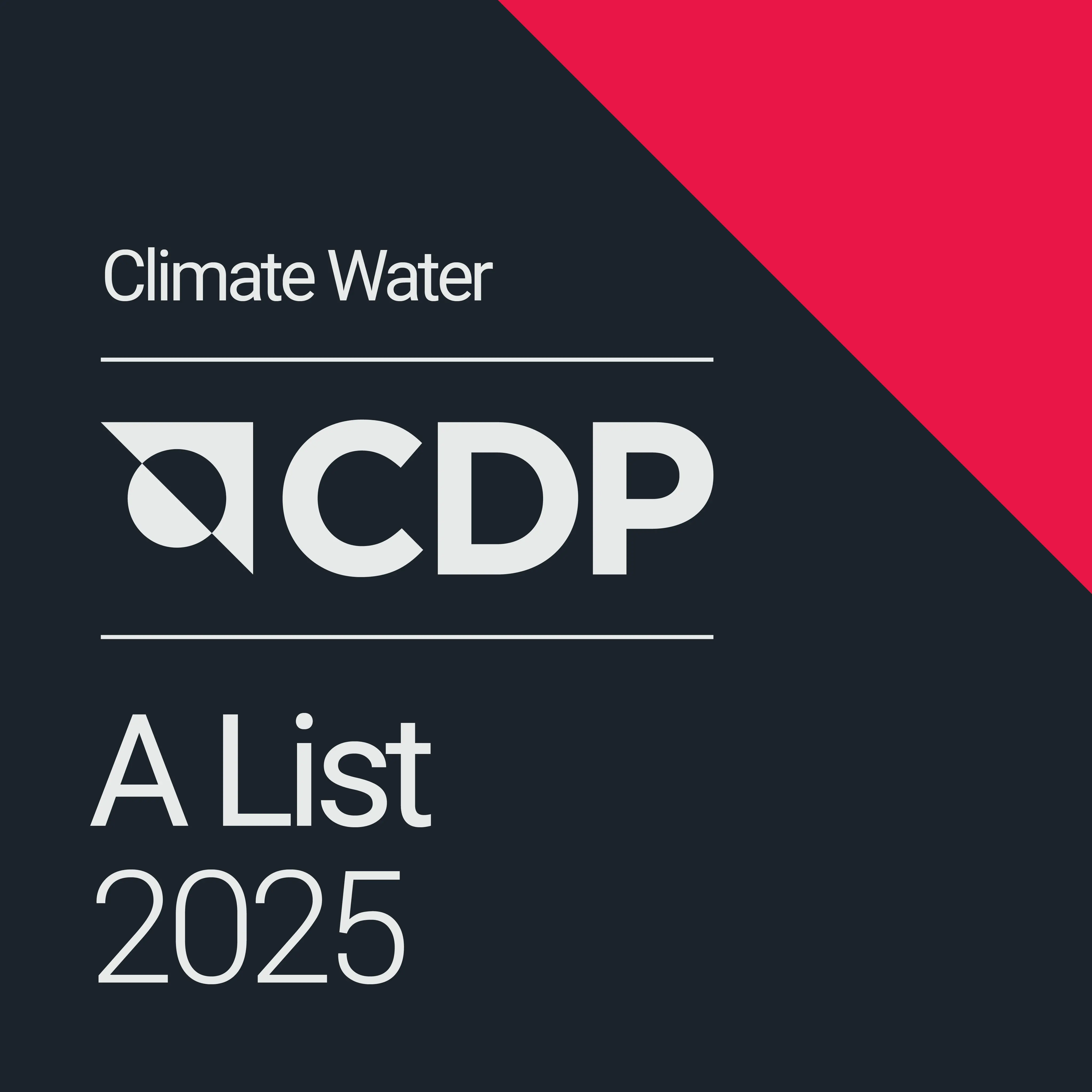 CDP A List 2024