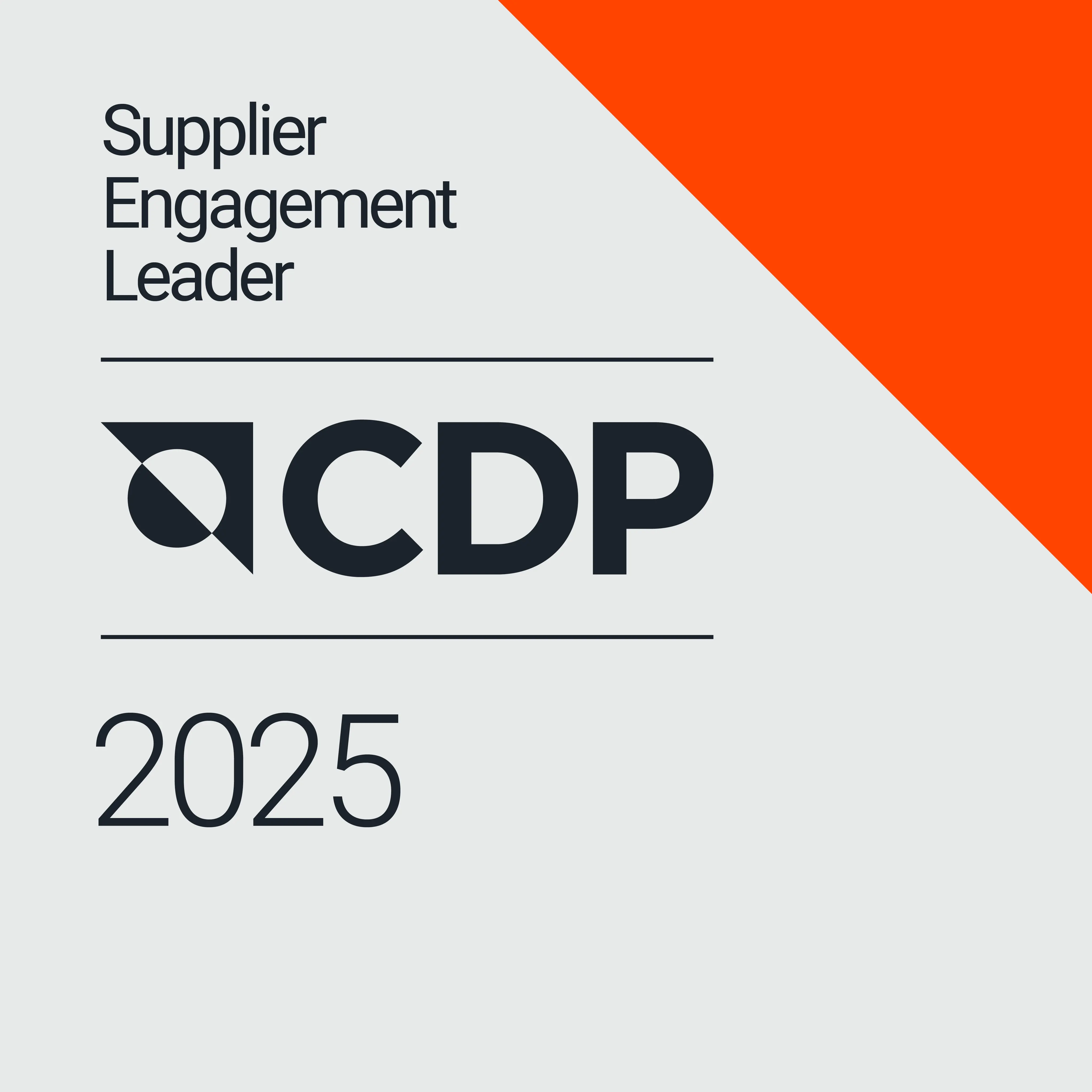 CDP 2025