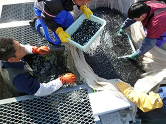 Donations in 2022 Supporting the Hokkaido Fisheries Resource Recovery Project